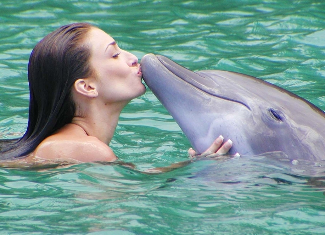 Naughty dolphin
