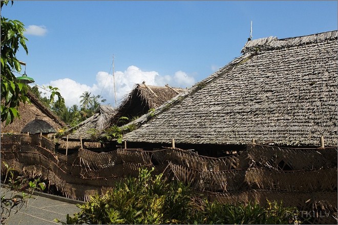 Дома с бамбуковой черепицей