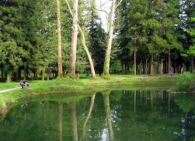 Искусственно созданное озеро в ботаническом саду