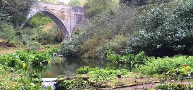 Каменный мост и водяной сад