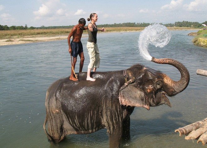 Купание со слонами