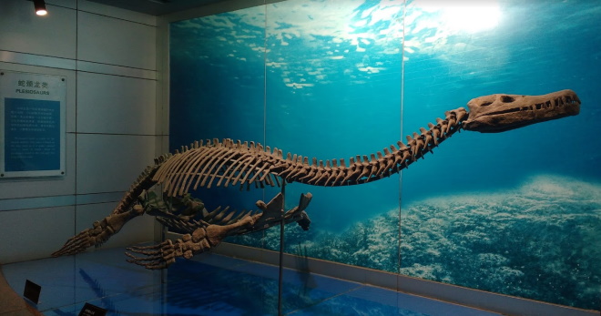 Музей динозавров в Китае