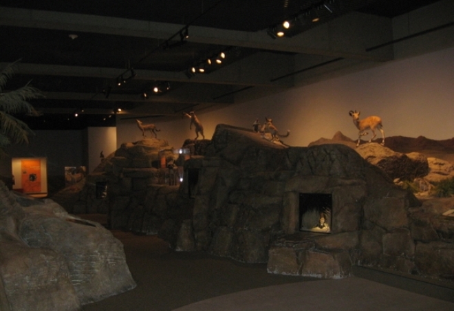 Музей животных Аравии