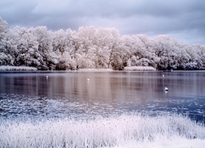 Озеро в зимний период