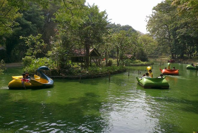 Озеро в зоопарке Бандунг