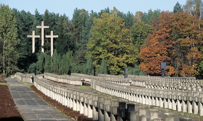 Пальмирское кладбище в Кампиноском национальном парке