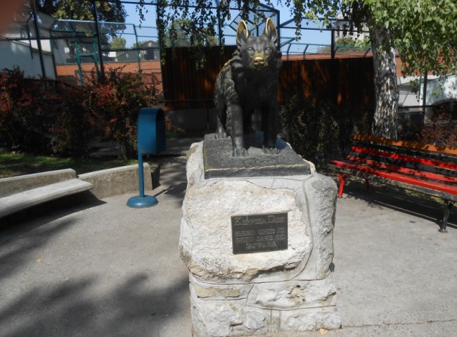 Памятник собаке Габи