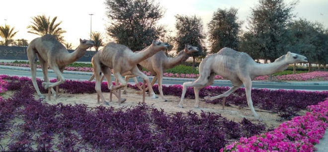 Памятник верблюдам перед клубом Dubai Camel Racing Club