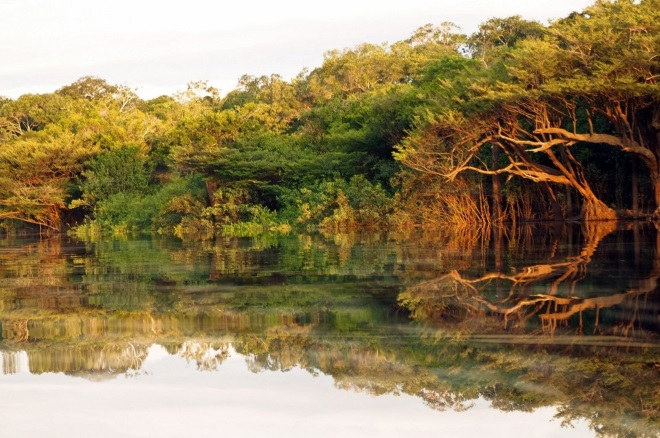 Парк был создан для сохранения тропических лесов