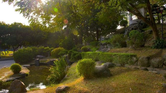 Пейзажи японского сада