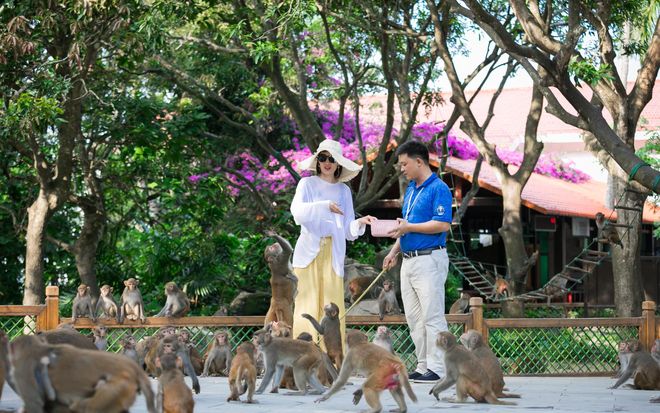 Правила посещения острова обезьян