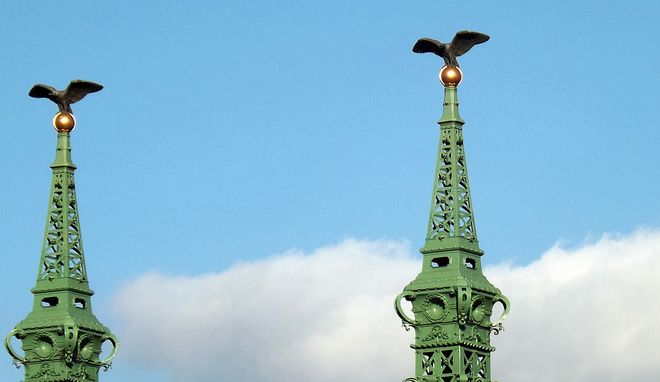 Птицы-турулы на мосту Свободы, Будапешт