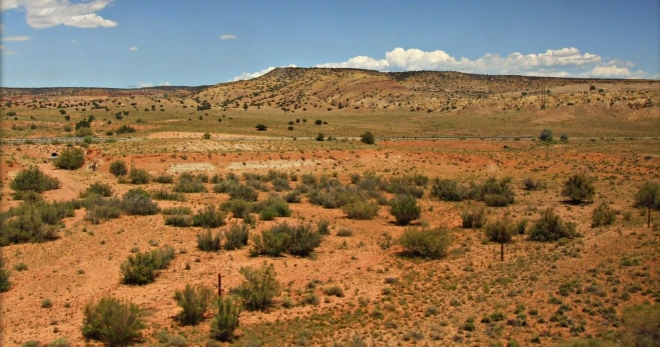 Пустыня Сонора