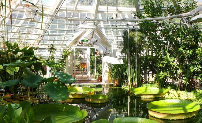 Растительные и микологические экспозиции (Ботанический сад)