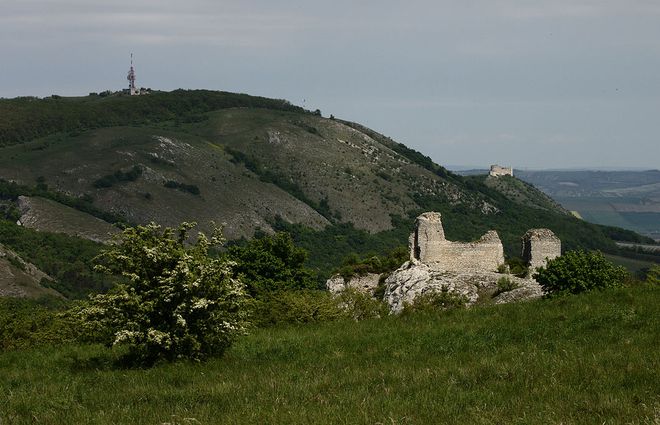 Руины Сиротского замка XIII века, Палава