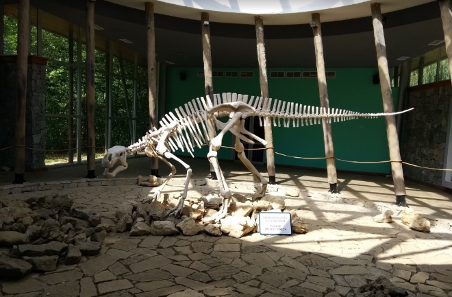 Скелет динозавра - главный экспонат музея
