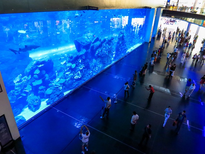 Вид на аквариум со 2 этажа