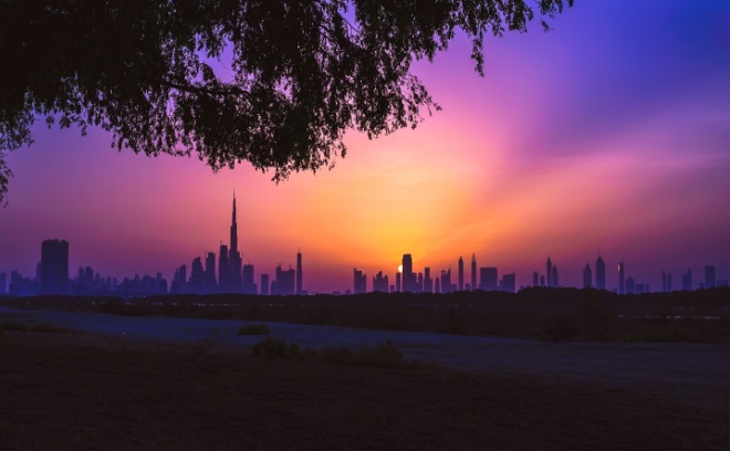 Вид на Дубай с заповедника