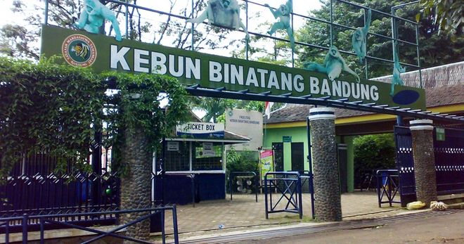 Зоопарк Бандунг