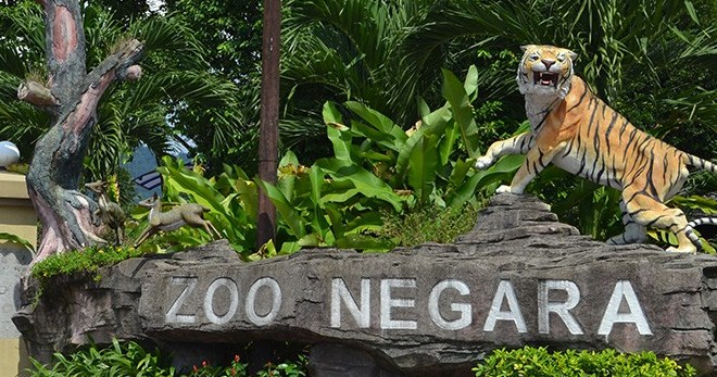 Зоопарк (Куала-Лумпур)