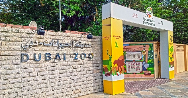 Зоопарк в Дубае