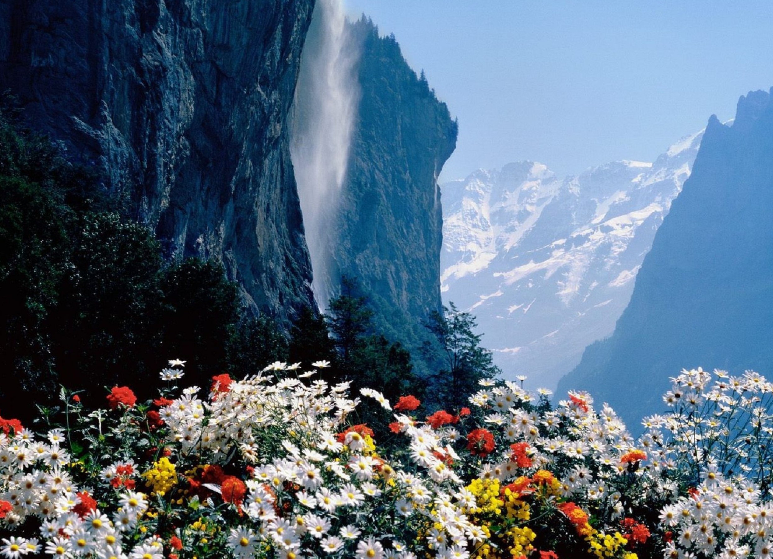 С днем рождения красивые природа. Лаутербруннен водопад. Швейцария цветы горы. Флауэр монтейн. Лаутербруннен Швейцария.